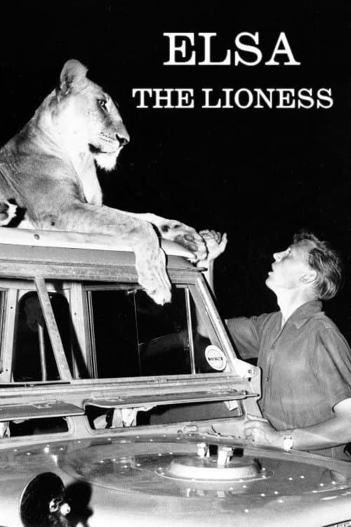 Affiche du film Elsa the Lioness (1961)