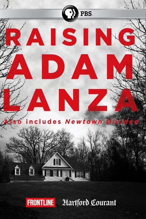 Raising Adam Lanza (2013) movie poster