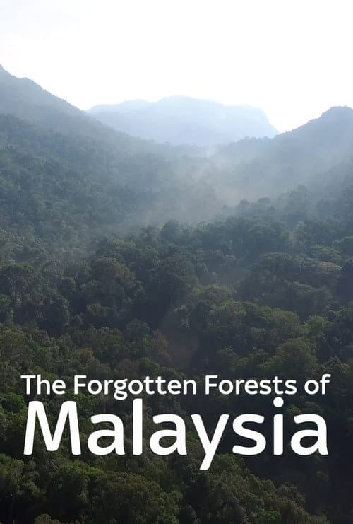 The Forgotten Forests of Malaysia (2018) movie poster