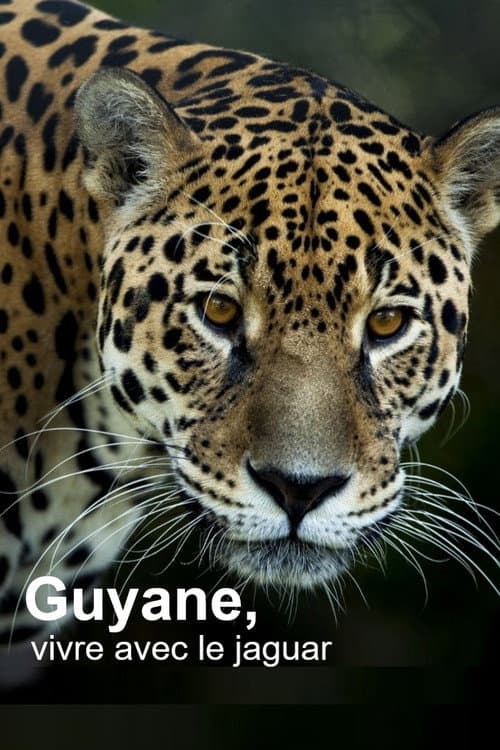 ملصق فيلم Guyane, vivre avec le jaguar (2024)