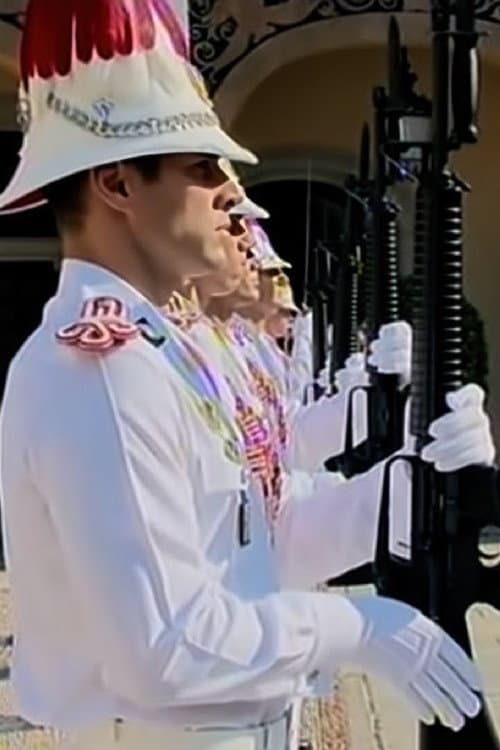 Intimité et pouvoir : un an dans la vie du prince Albert de Monaco (2023) movie poster