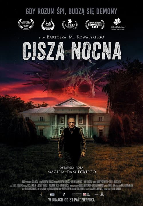 Affiche du film Cisza nocna (2024)