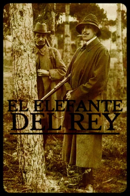 Affiche du film El elefante del rey (2003)
