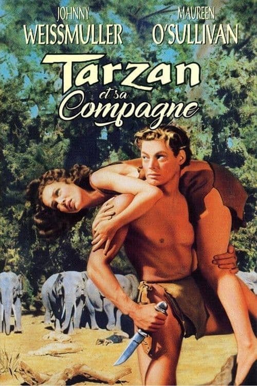 Affiche du film Tarzan and His Mate (1934)