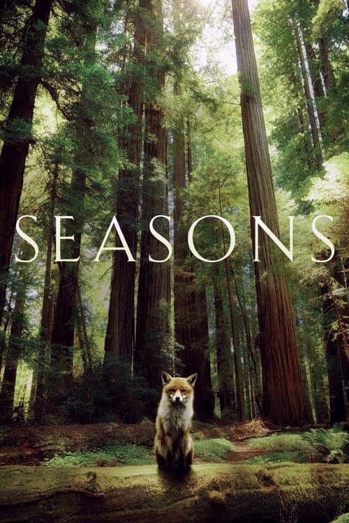 Les Saisons (2016) movie poster