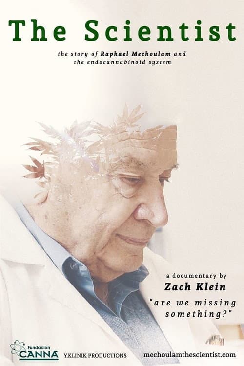 Affiche du film The Scientist: Are We Missing Something? (2015)