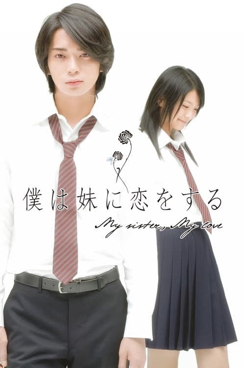 僕は妹に恋をする (2007) movie poster