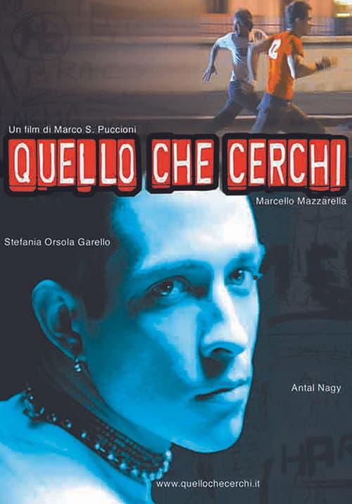 Affiche du film Quello che cerchi (2002)