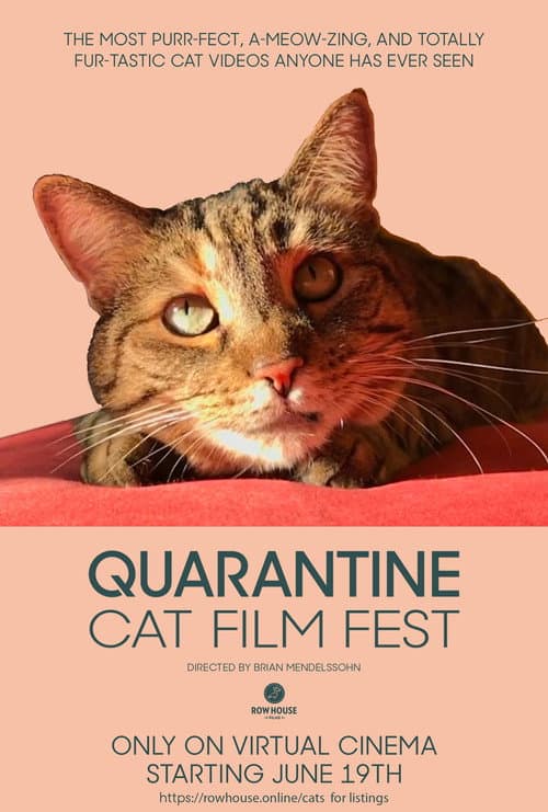 ملصق فيلم Quarantine Cat Film Festival (2020)