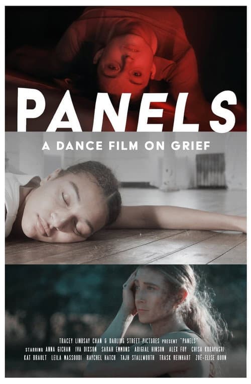 ملصق فيلم Panels (2024)