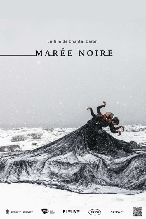 Affiche du film Marée noire (2024)
