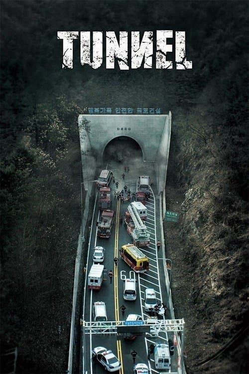 터널 (2016) movie poster