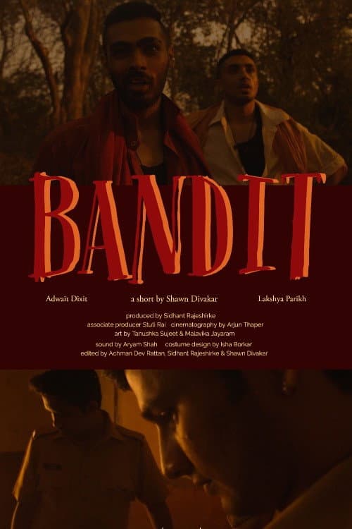 Affiche du film Bandit