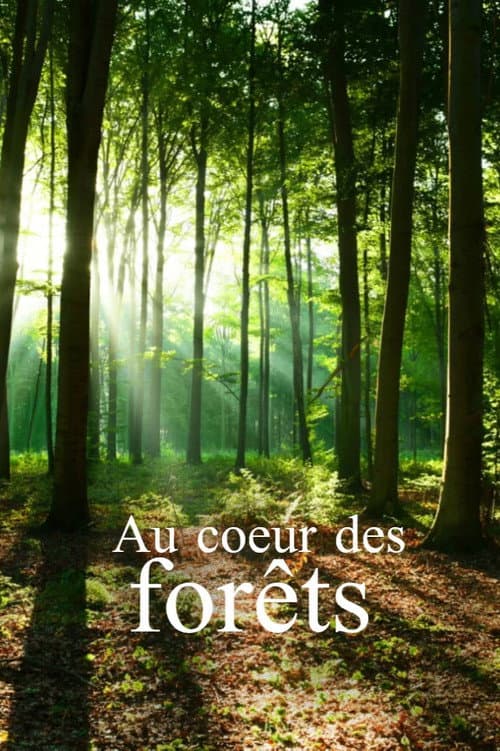 Affiche du film Wälder unserer Erde (2018)