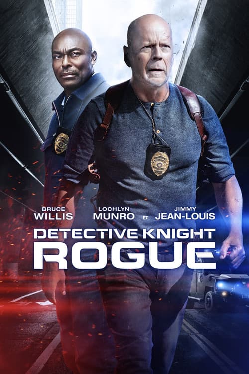 Affiche du film Detective Knight: Rogue (2022)