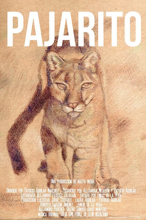 Pajarito (2022) movie poster