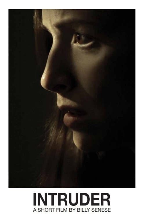 Affiche du film Intruder (2011)