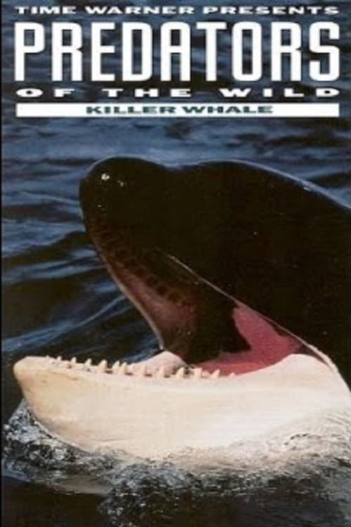 ملصق فيلم Predators of the Wild: Killer Whale (1992)