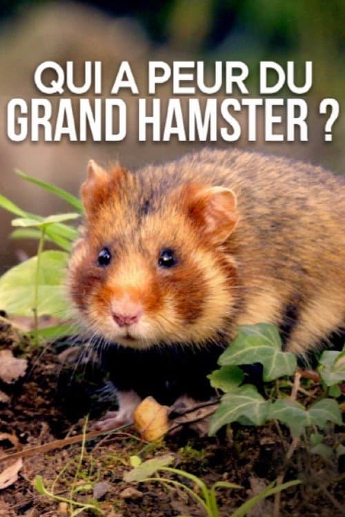 Affiche du film Qui a peur du grand hamster ? (2020)