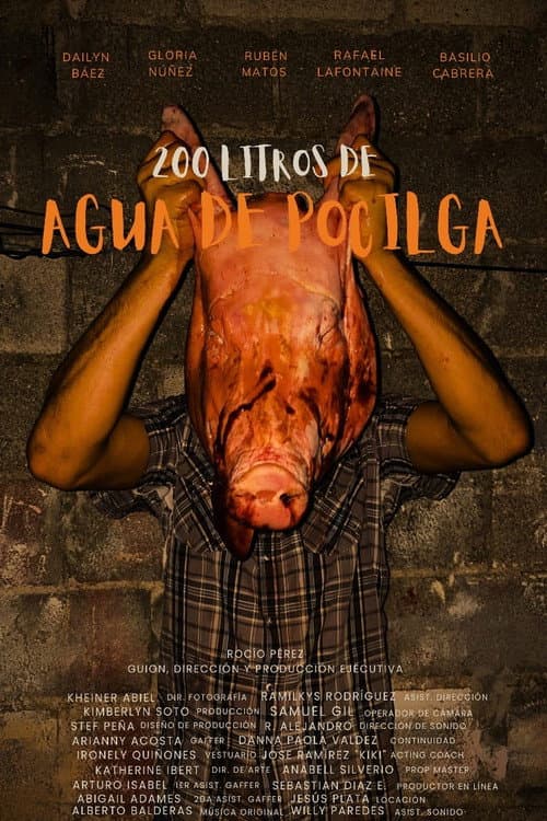 Affiche du film 200 LITROS DE AGUA DE POCILGA (2025)