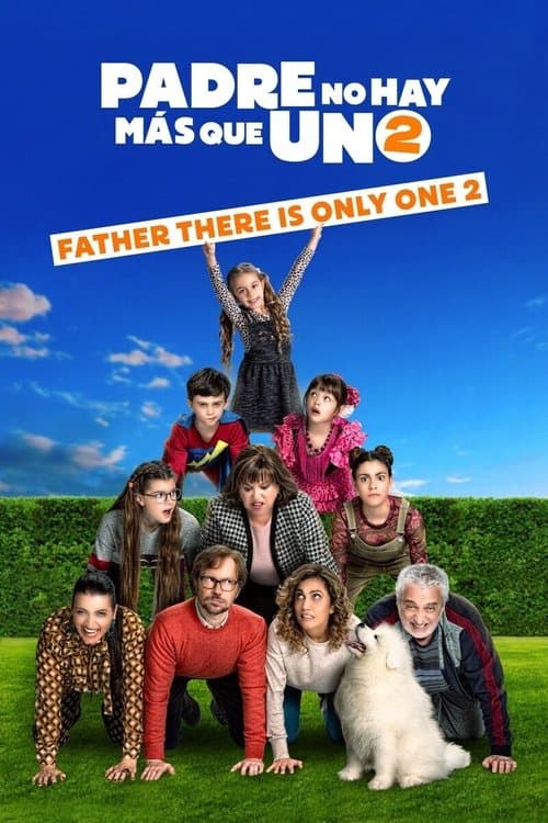 Padre no hay más que uno 2: la llegada de la suegra (2020) movie poster