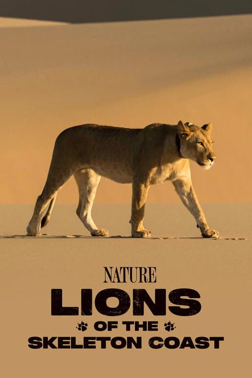Lions of the Skeleton Coast (2025) movie poster