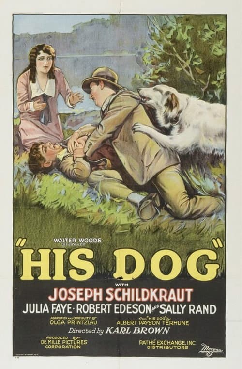 Affiche du film His Dog (1927)