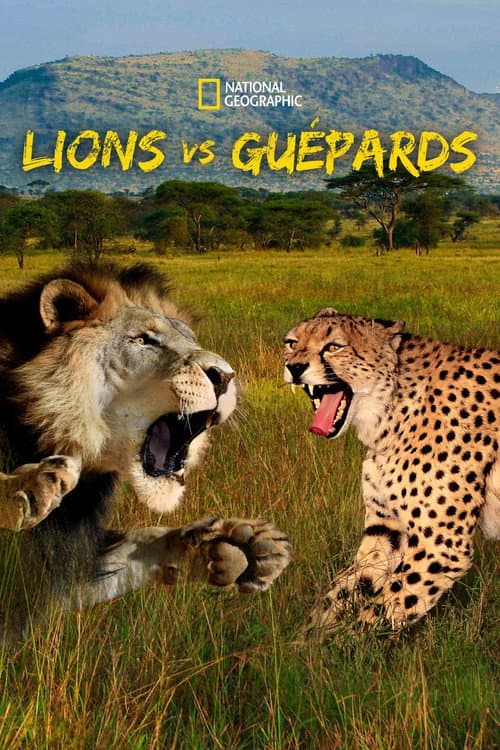 Affiche du film Cat Wars: Lion vs. Cheetah (2011)