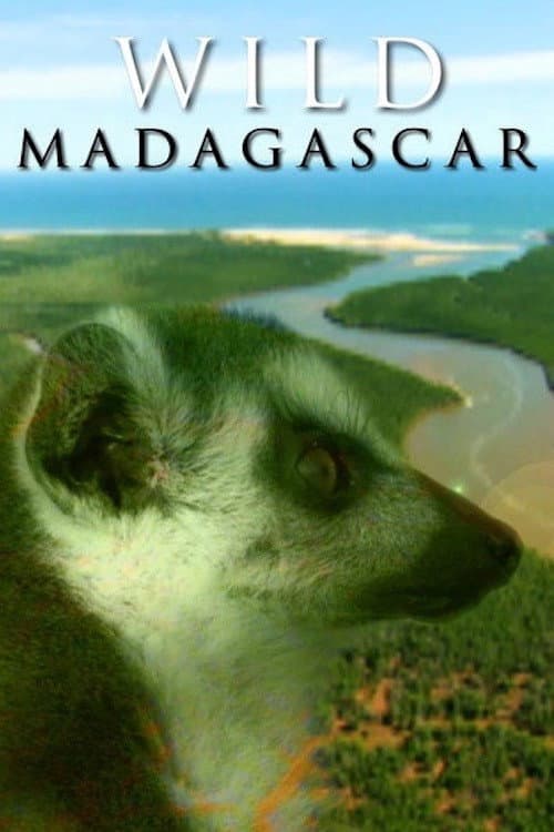 Wild Madagascar movie poster