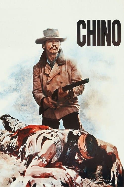 Valdez, il mezzosangue (1973) movie poster
