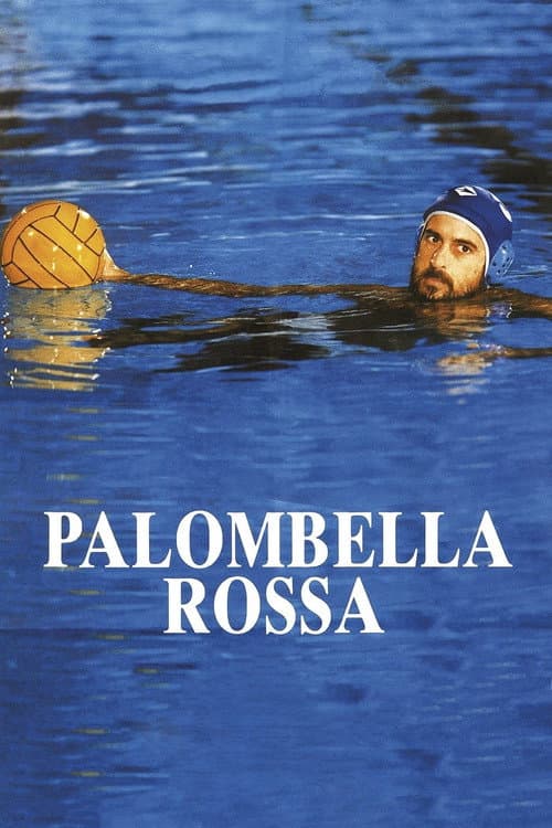 Affiche du film Palombella rossa (1989)