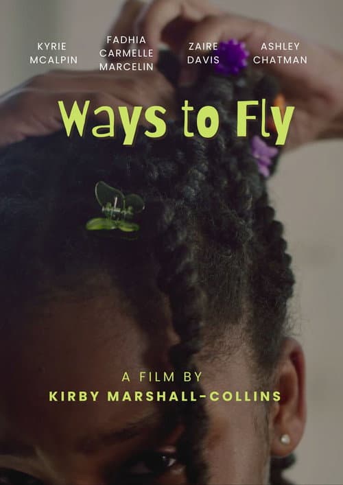 Ways to Fly (2025) movie poster