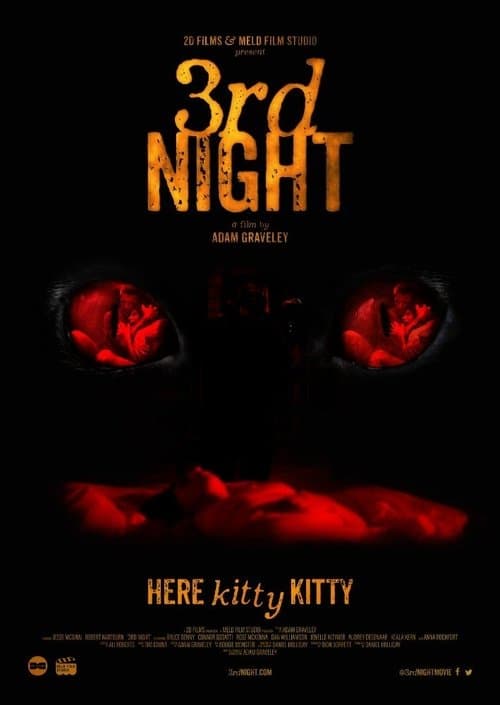 Affiche du film 3rd Night (2017)