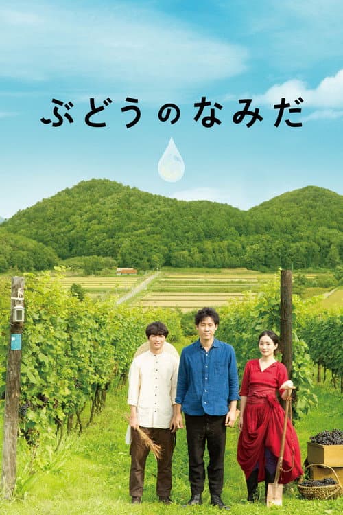ملصق فيلم ぶどうのなみだ (2014)