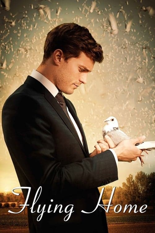 Affiche du film Flying Home (2014)