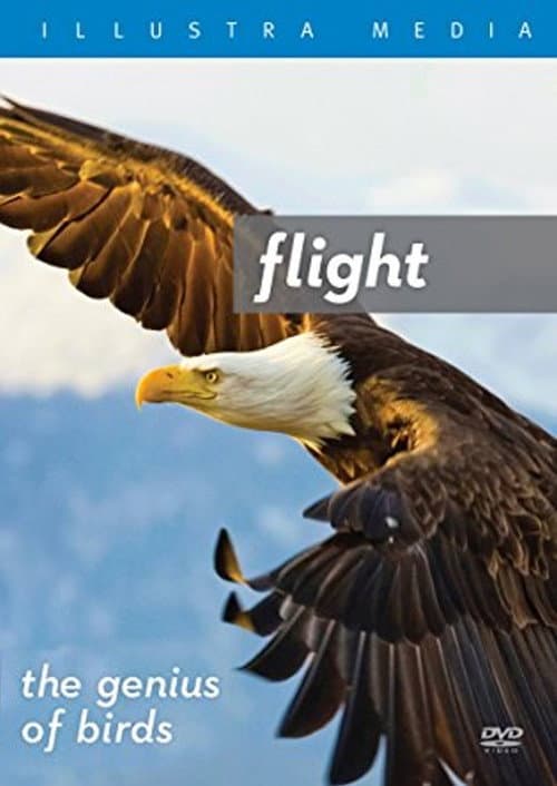 Flight: The Genius of Birds (2013) movie poster