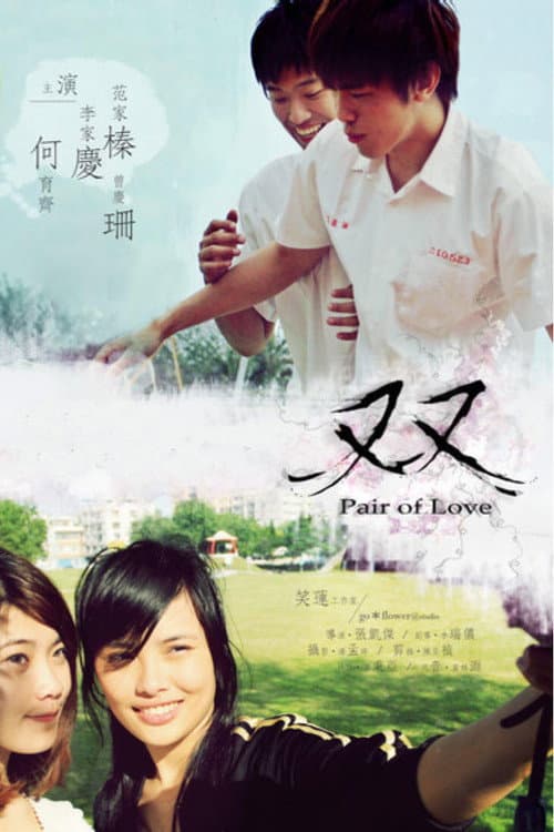 雙 (2010) movie poster