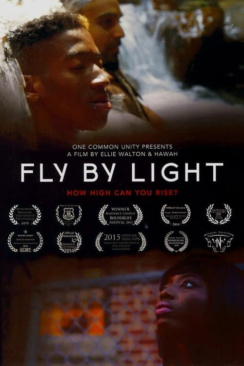 Fly by Light movie poster