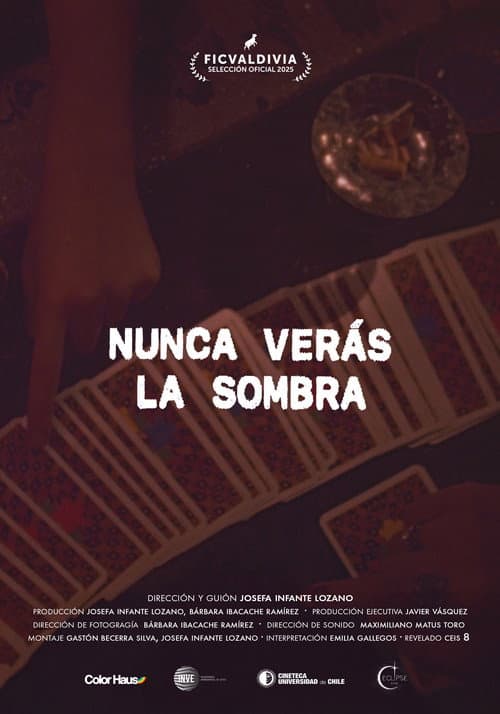 ملصق فيلم Nunca verás la sombra (2025)