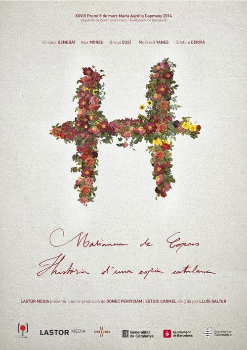 H (2014) movie poster