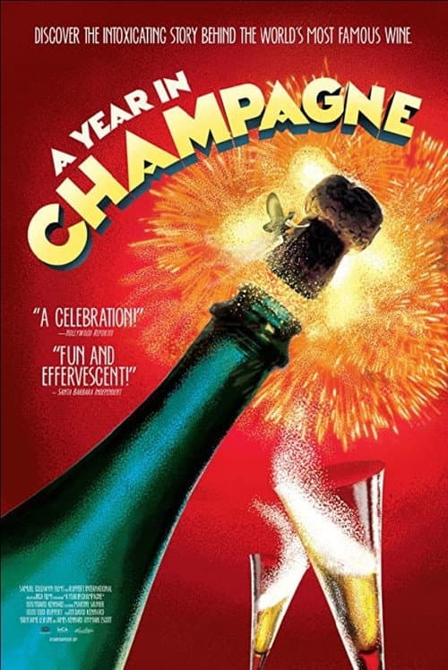 A Year in Champagne (2014) movie poster