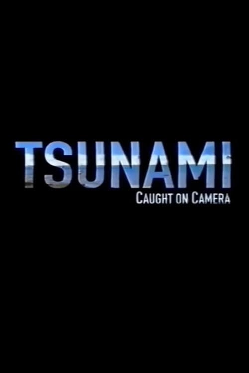 Affiche du film Tsunami: Caught on Camera (2009)