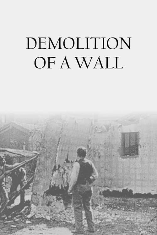 Démolition d'un mur (1896) movie poster