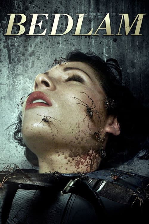 Bedlam (2015) movie poster