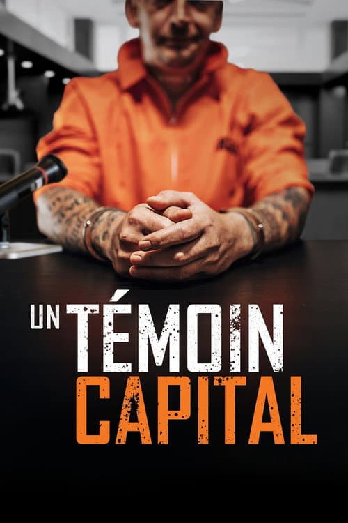 Affiche du film The Critical Witness (2021)