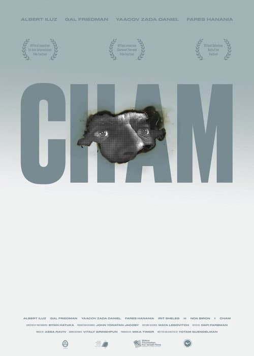 חם (2015) movie poster