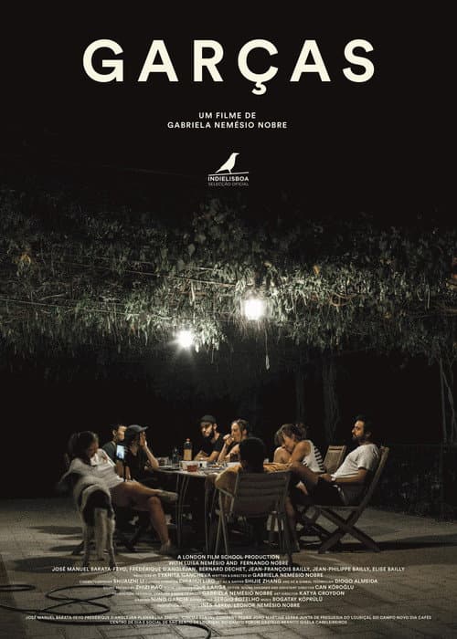 ملصق فيلم Garças
