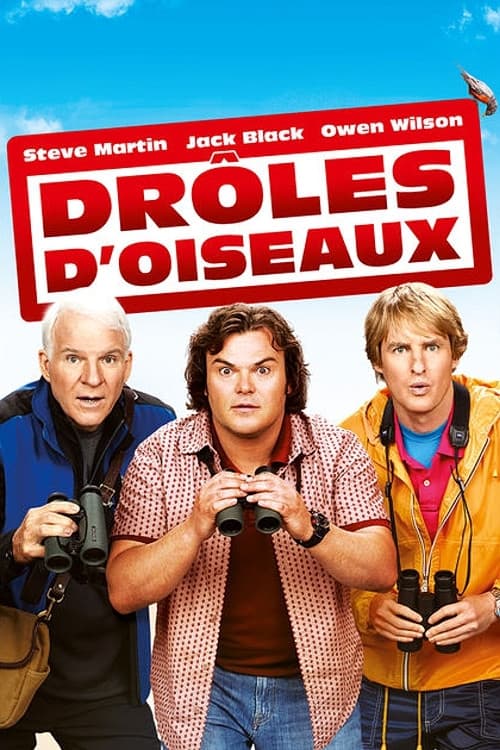 Affiche du film The Big Year (2011)