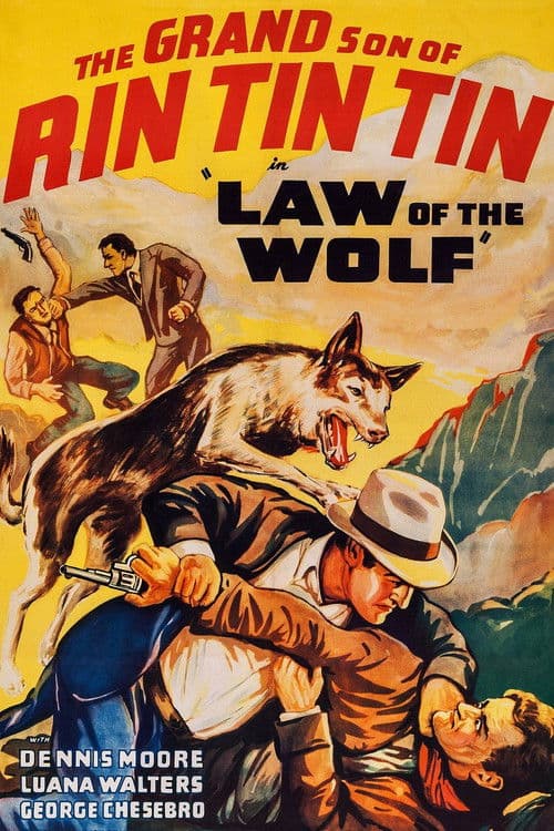 Affiche du film Law of the Wolf (1939)