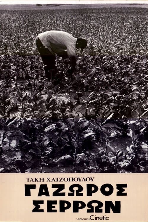 Γάζωρος Σερρών (1974) movie poster